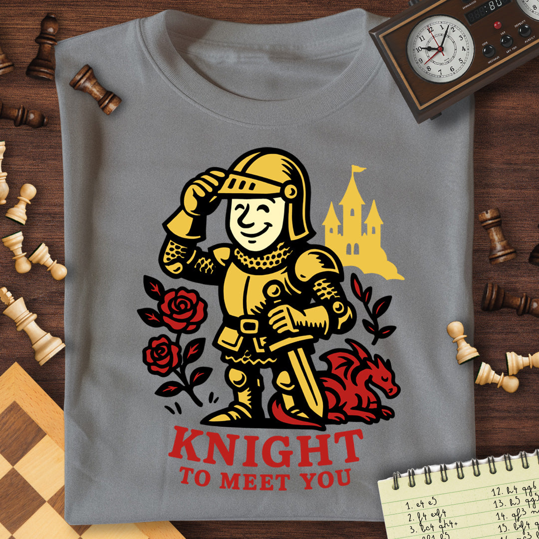 Knight To Meet You Dragon T-Shirt