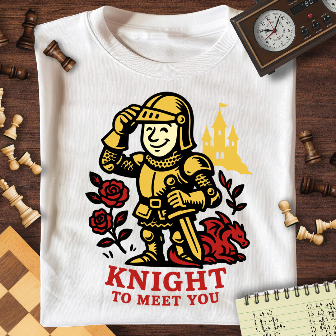 Knight To Meet You Dragon T-Shirt