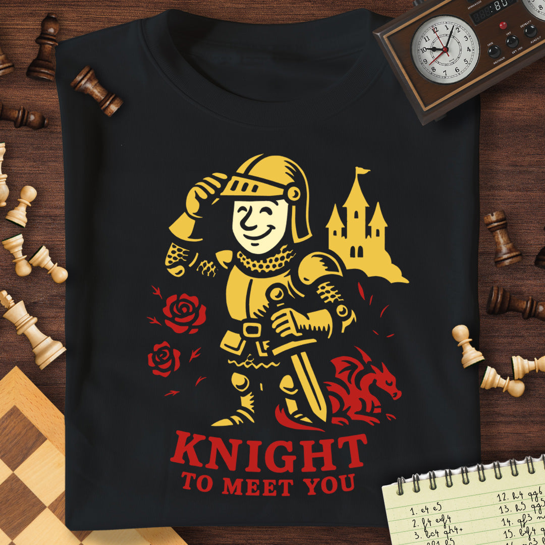 Knight To Meet You Dragon T-Shirt